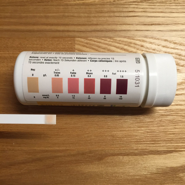 糖質制限ダイエット日記 ケトン体測定の Ketostix で測定その1 まだダイエットで消耗してるの 糖質制限のすすめ